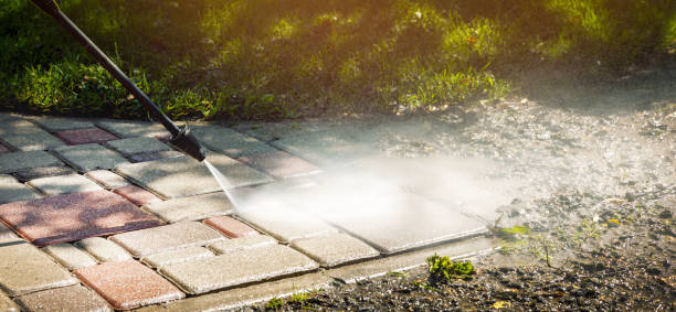 Best Solar Panel Cleaning  in West Monroe, LA